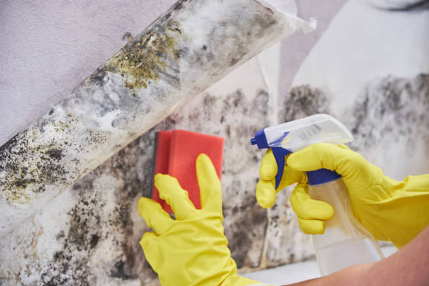 Best Airborne Mold Testing  in Orange, OH